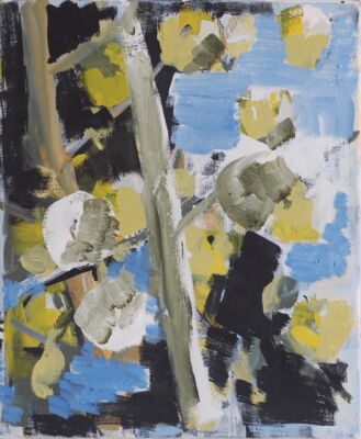 apfelbild, 2016, oel auf leinwand, 60x50